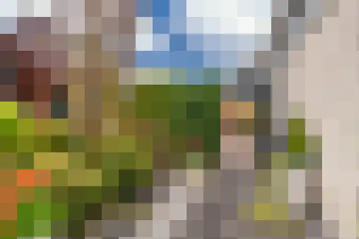 Hoefsmederij 24 Delfzijl thumbnail 15