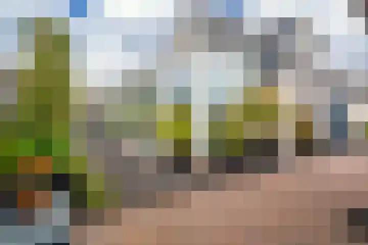 Hoefsmederij 24 Delfzijl thumbnail 17