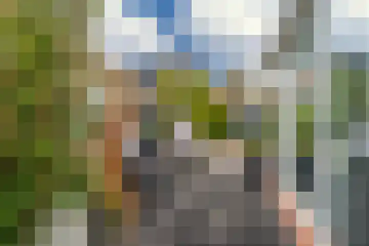 Hoefsmederij 24 Delfzijl thumbnail 21