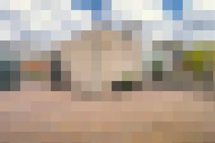 Hoefsmederij 24 Delfzijl thumbnail 23