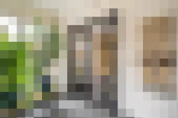 Hoefsmederij 24 Delfzijl thumbnail 28