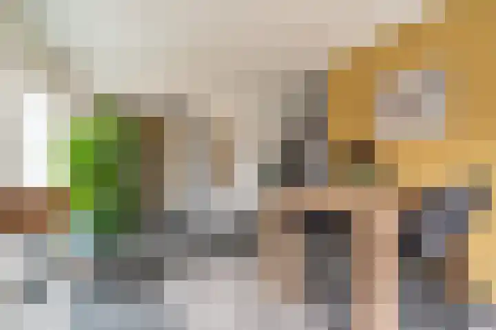 Hoefsmederij 24 Delfzijl thumbnail 29