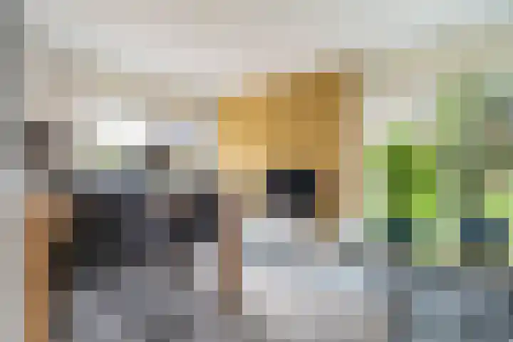 Hoefsmederij 24 Delfzijl thumbnail 30