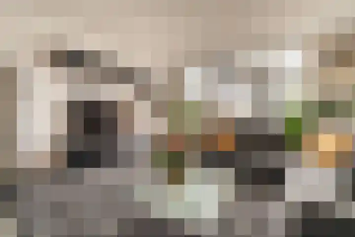 Hoefsmederij 24 Delfzijl thumbnail 32