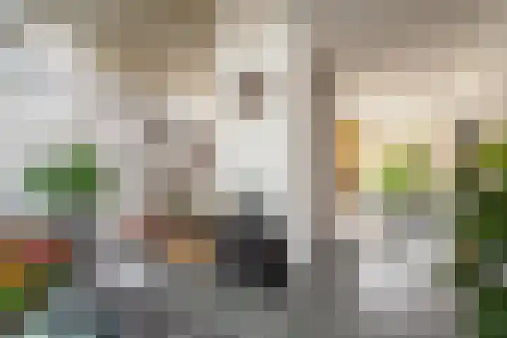 Hoefsmederij 24 Delfzijl thumbnail 37