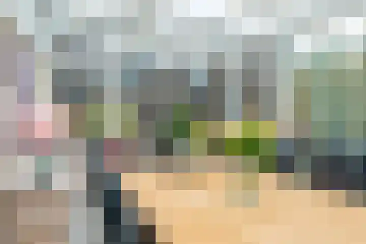 Hoefsmederij 24 Delfzijl thumbnail 38