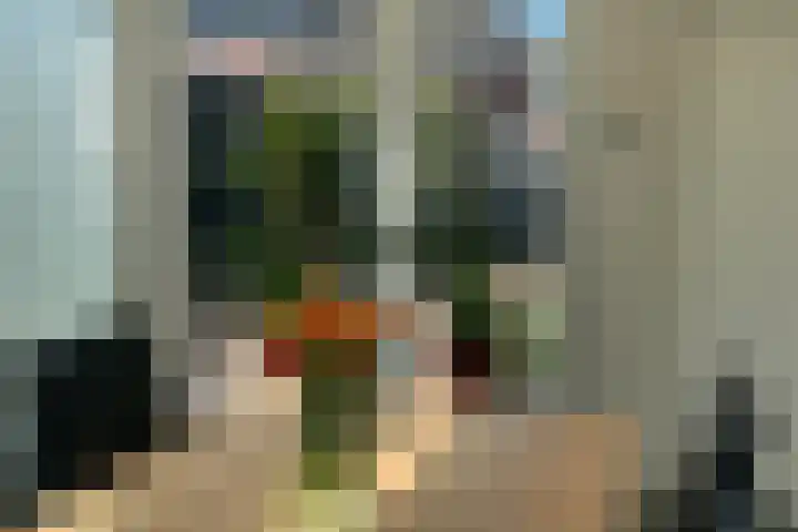 Hoefsmederij 24 Delfzijl thumbnail 39