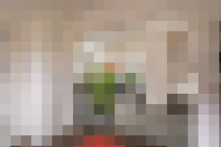 Hoefsmederij 24 Delfzijl thumbnail 42