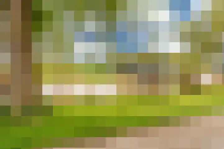 Hoefsmederij 24 Delfzijl thumbnail 60
