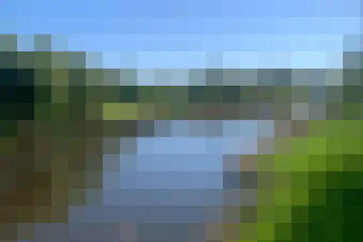 Hoefsmederij 24 Delfzijl thumbnail 61