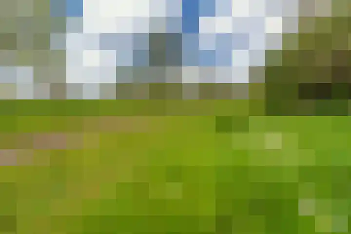 Hoefsmederij 24 Delfzijl thumbnail 63