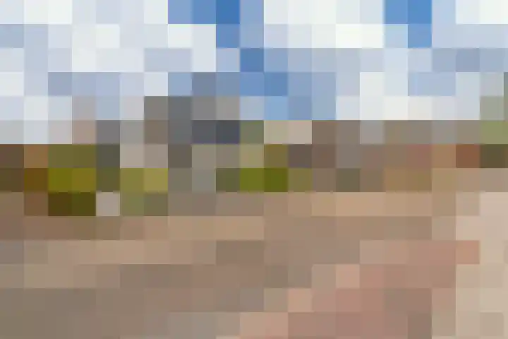 Hoefsmederij 24 Delfzijl thumbnail 8