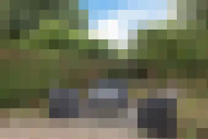 Hoefsmederij 55 Delfzijl thumbnail 10