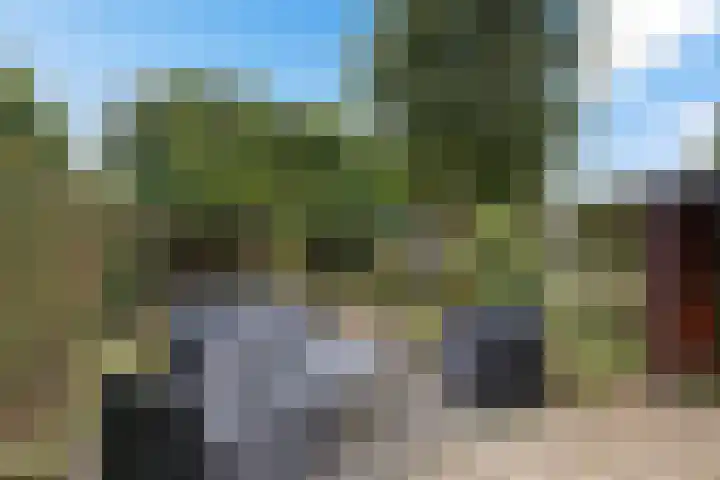 Hoefsmederij 55 Delfzijl thumbnail 11