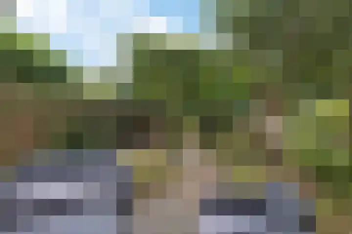 Hoefsmederij 55 Delfzijl thumbnail 12