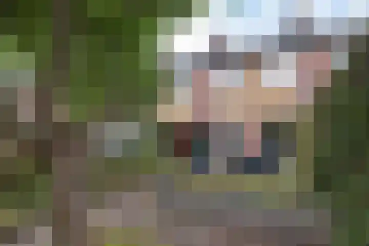 Hoefsmederij 55 Delfzijl thumbnail 13