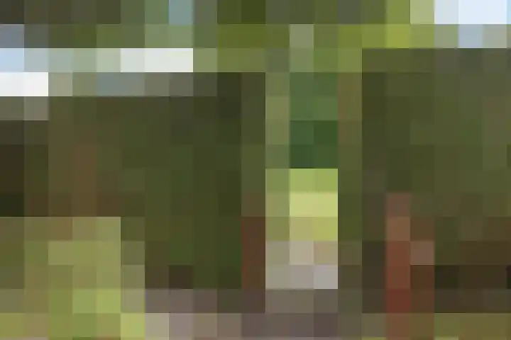 Hoefsmederij 55 Delfzijl thumbnail 15