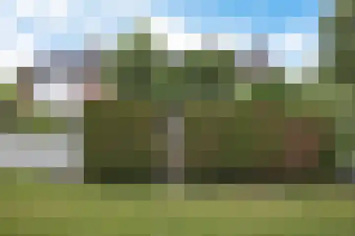 Hoefsmederij 55 Delfzijl thumbnail 16