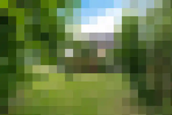 Hoefsmederij 55 Delfzijl thumbnail 17