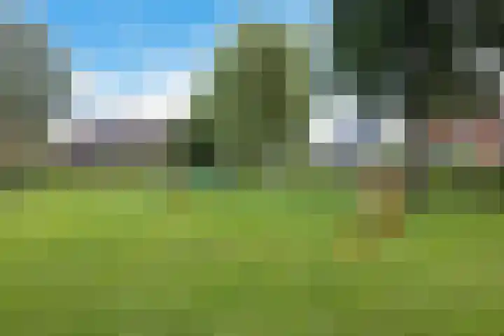 Hoefsmederij 55 Delfzijl thumbnail 19
