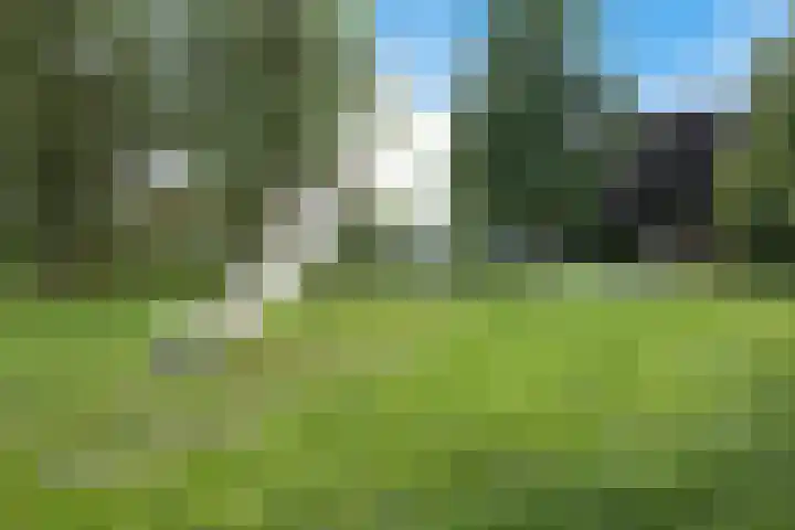 Hoefsmederij 55 Delfzijl thumbnail 20