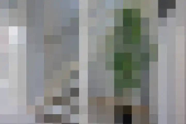 Hoefsmederij 55 Delfzijl thumbnail 26