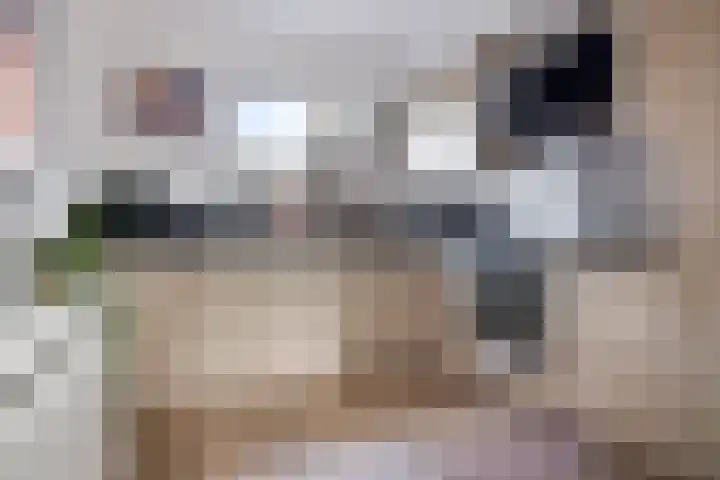 Hoefsmederij 55 Delfzijl thumbnail 33
