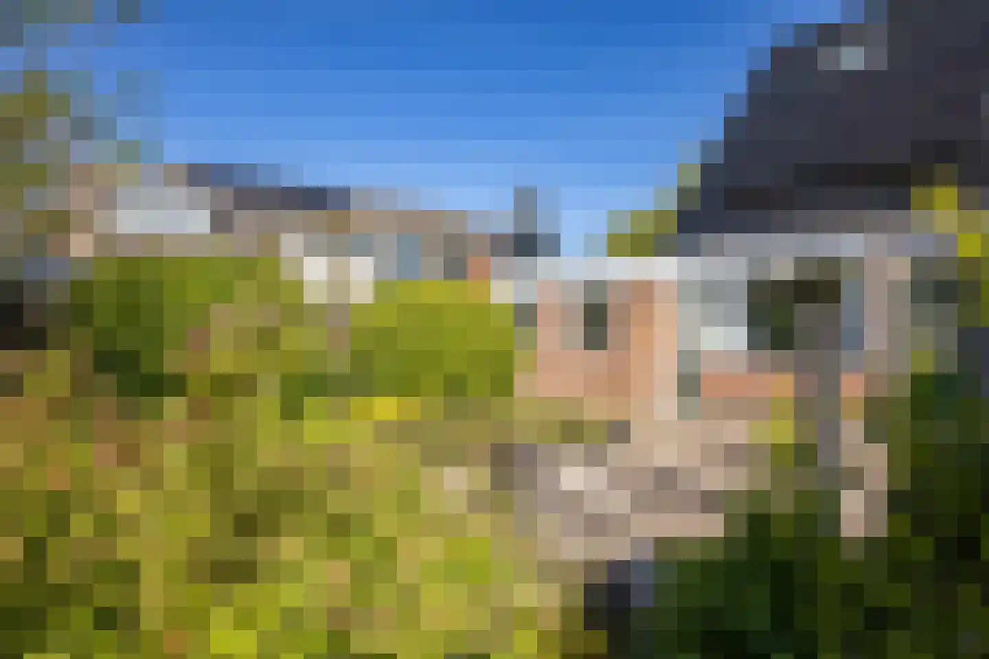 Hoefsmederij 59 Delfzijl thumbnail 12