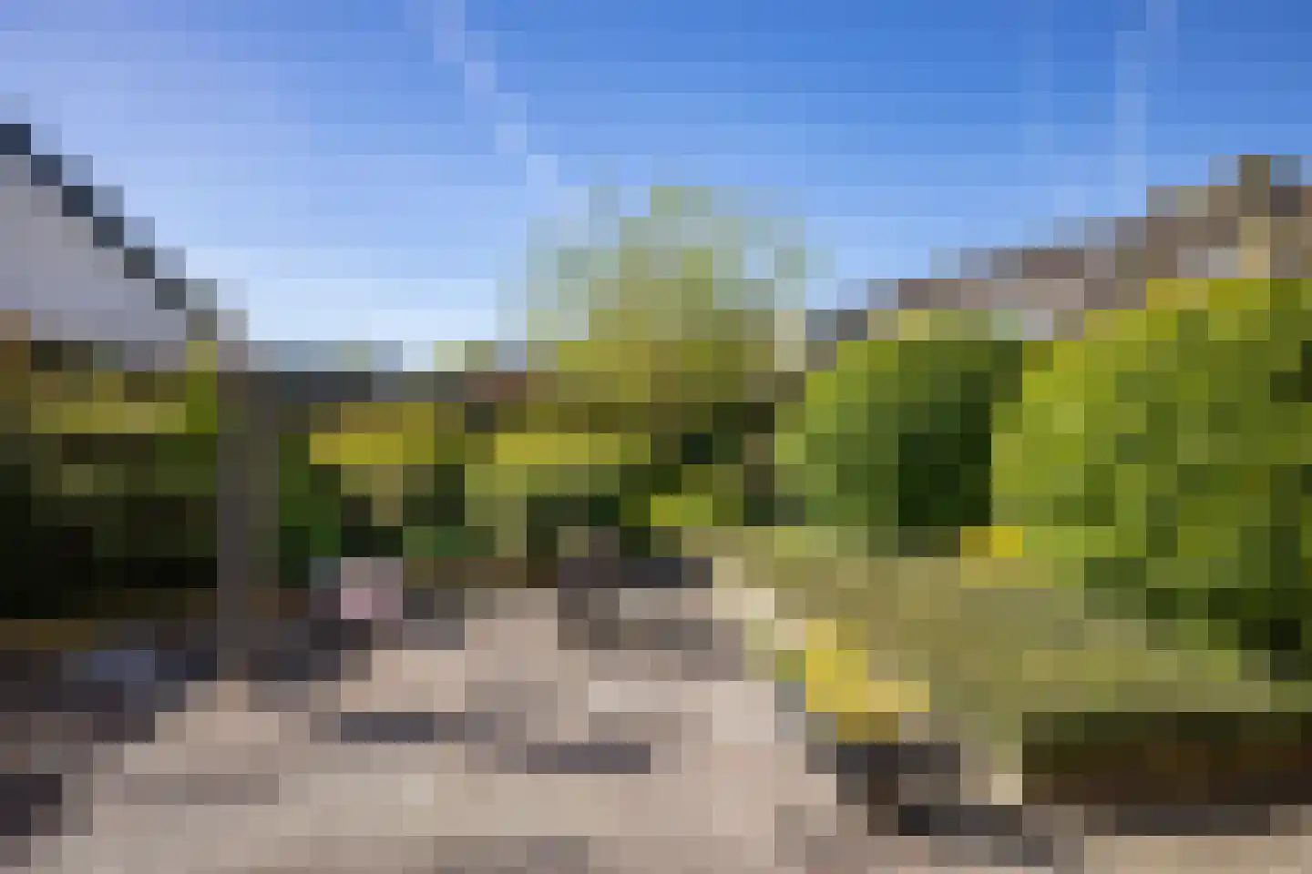 Hoefsmederij 59 Delfzijl thumbnail 16