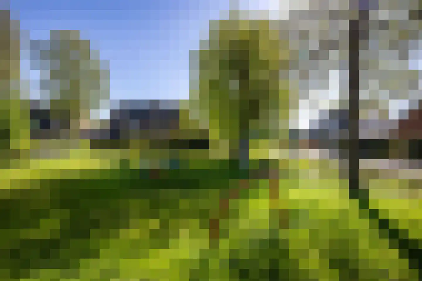 Hoefsmederij 59 Delfzijl thumbnail 9