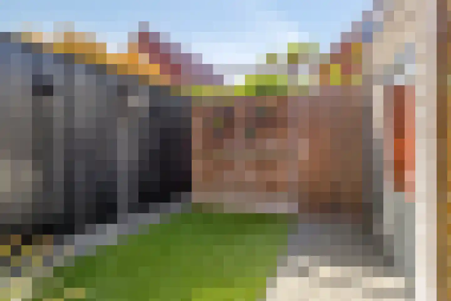 Hoefsmid 11 Oldenzaal thumbnail 28