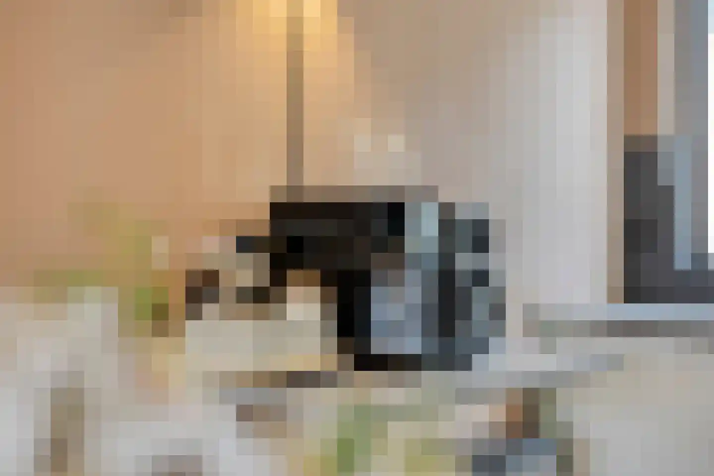 Hoefsmid 15 Spijkenisse thumbnail 16