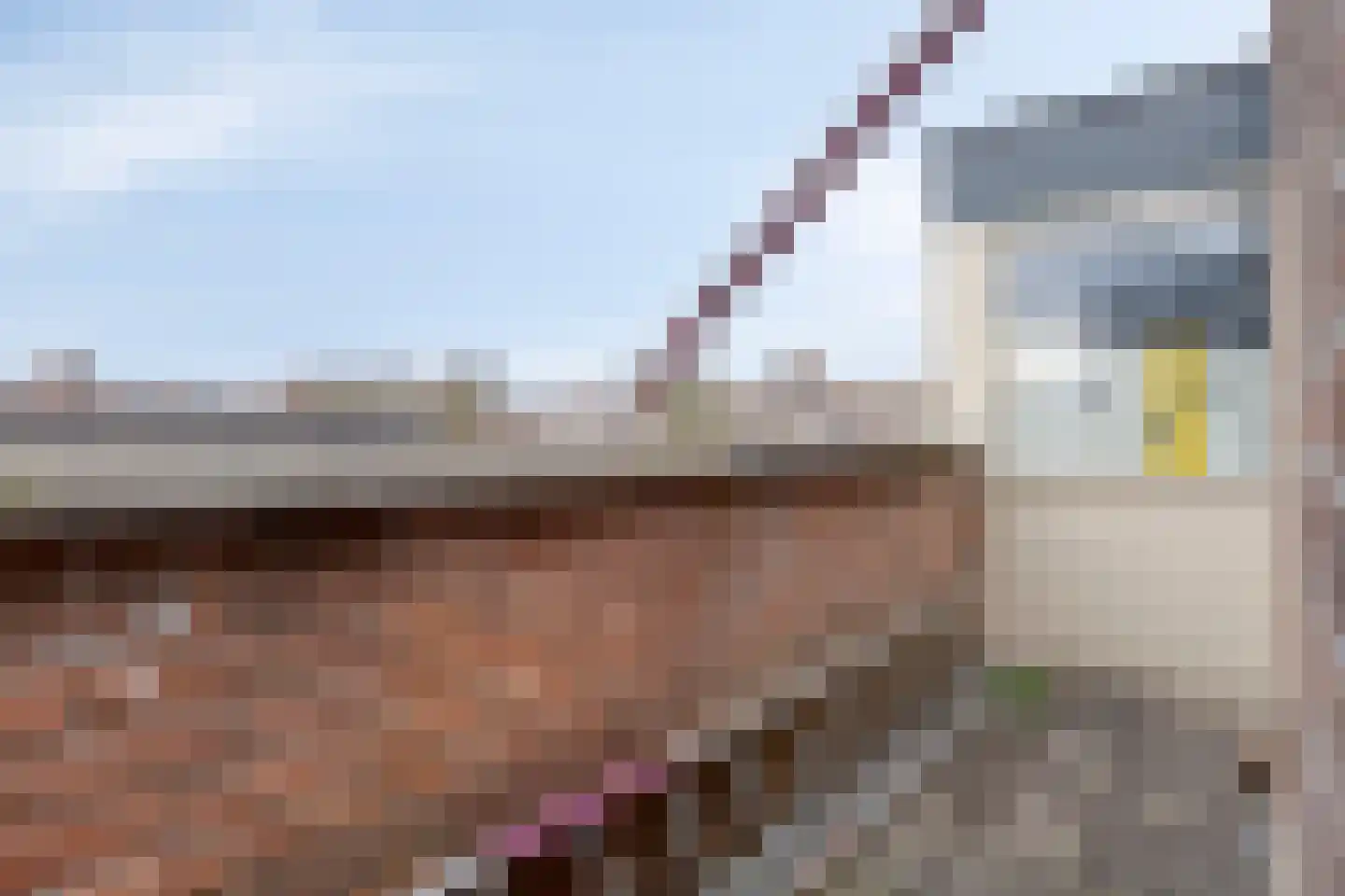 Hoefsmid 15 Spijkenisse thumbnail 31