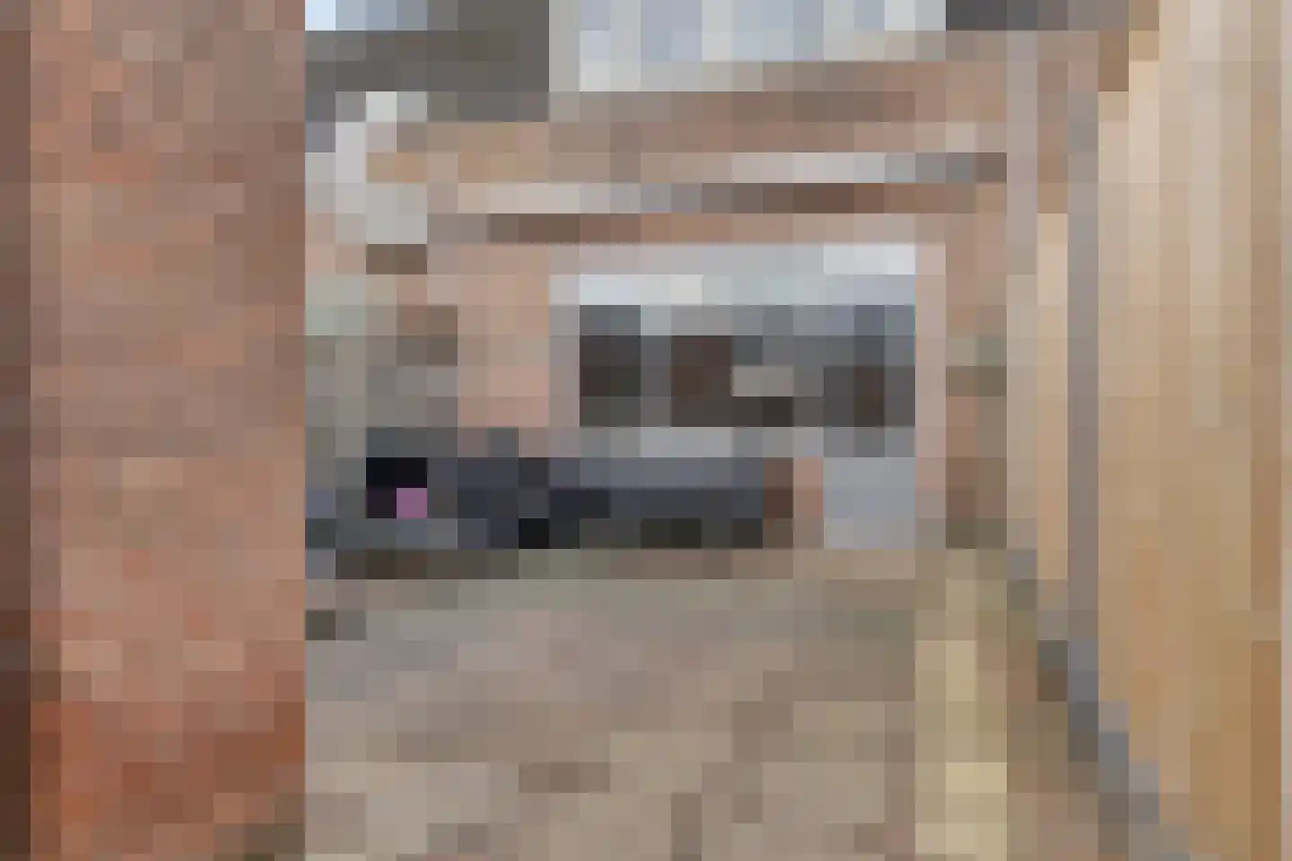 Hoefsmid 15 Spijkenisse thumbnail 32