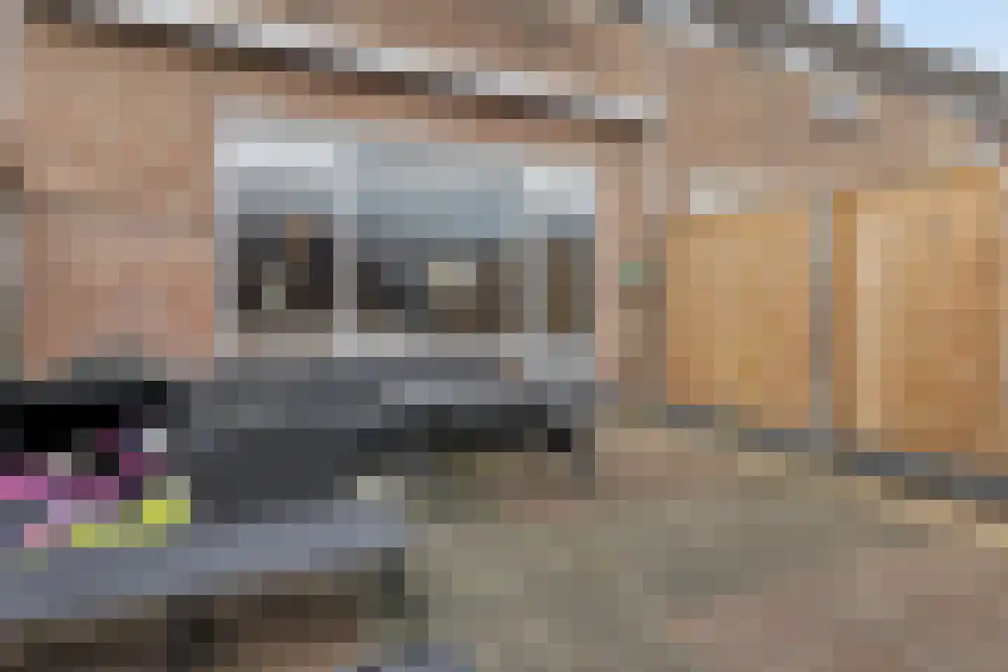Hoefsmid 15 Spijkenisse thumbnail 34