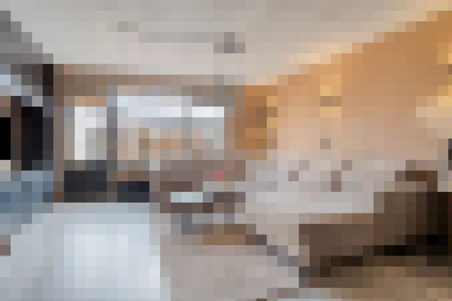 Hoefsmid 15 Spijkenisse thumbnail 4