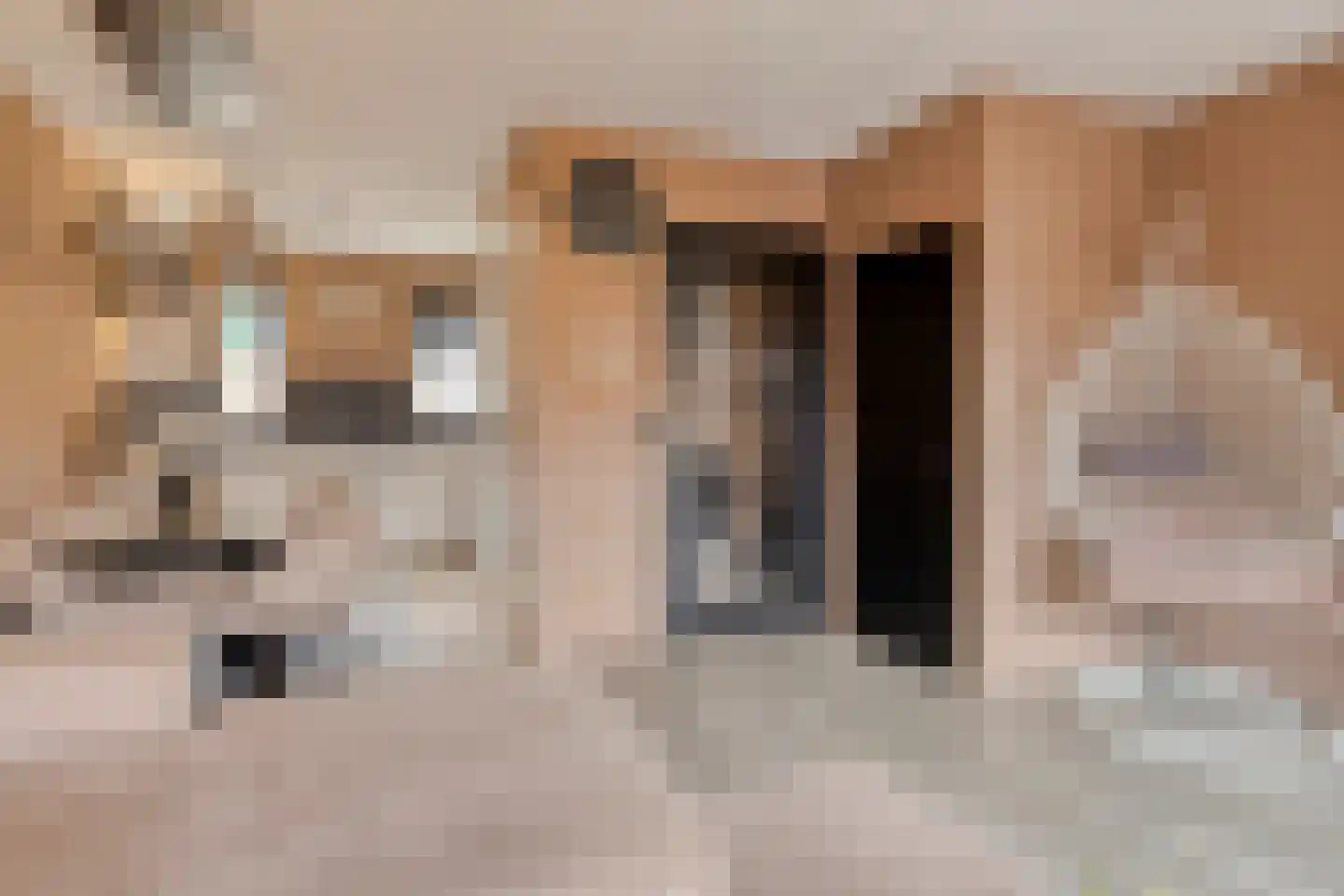 Hoefsmid 15 Spijkenisse thumbnail 8