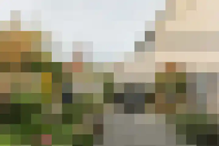 Hoefsmid 17 Leiderdorp thumbnail 31