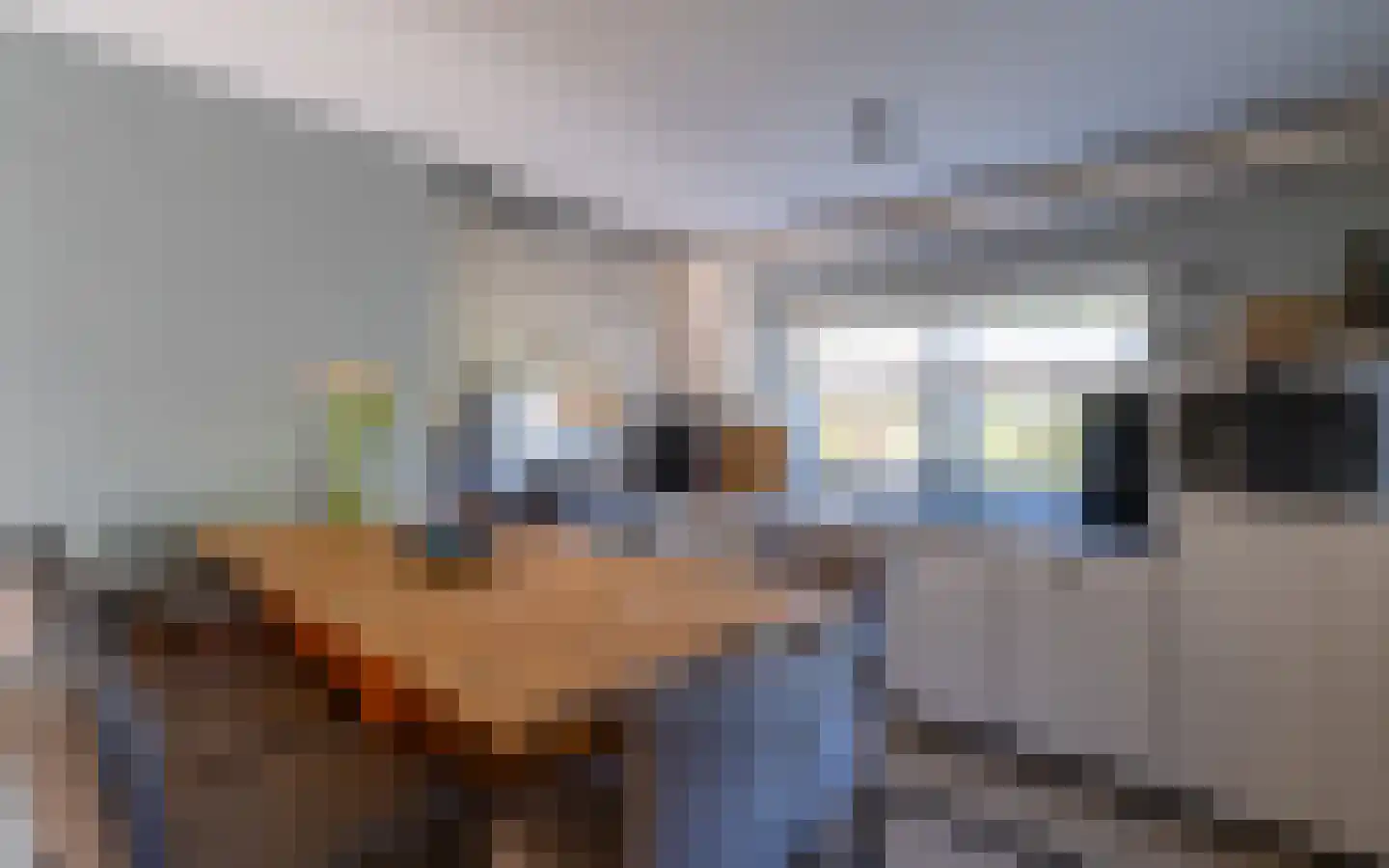 Hoefsmid 27 Nootdorp thumbnail 10