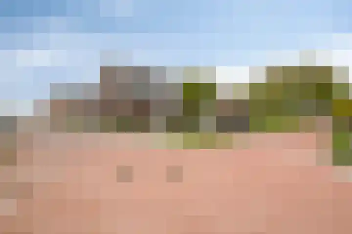 Hoefsmid 3 Nieuwerbrug aan den Rijn thumbnail 31