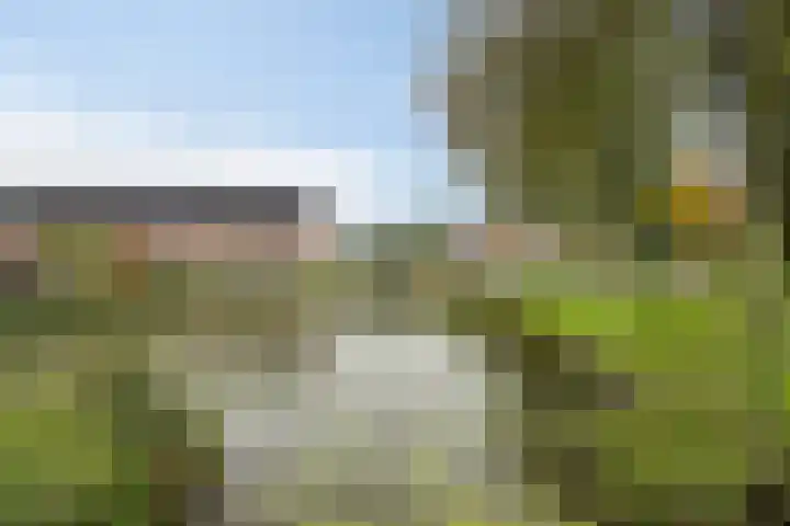 Hoefsmid 3 Nieuwerbrug aan den Rijn thumbnail 32