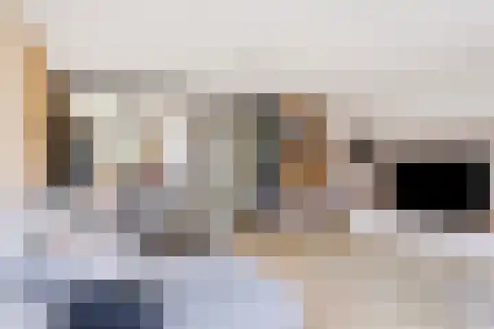 Hoefsmid 33 Wijchen thumbnail 15