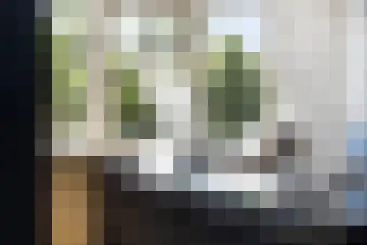 Hoefsmid 33 Wijchen thumbnail 21
