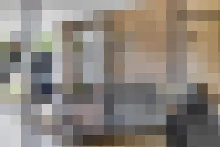 Hoefsmid 33 Wijchen thumbnail 22