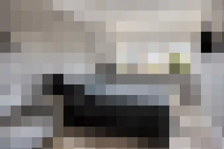 Hoefsmid 33 Wijchen thumbnail 25