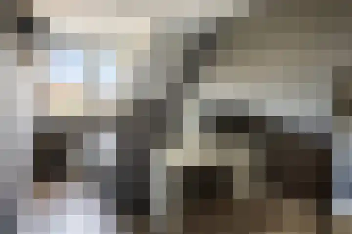 Hoefsmid 33 Wijchen thumbnail 27