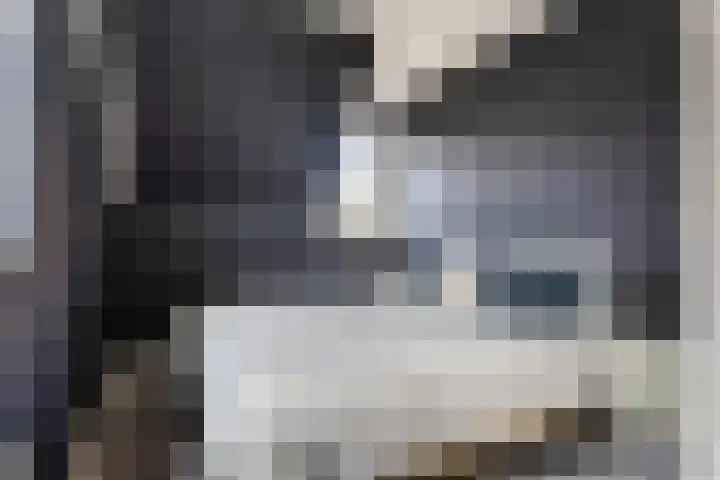 Hoefsmid 33 Wijchen thumbnail 36