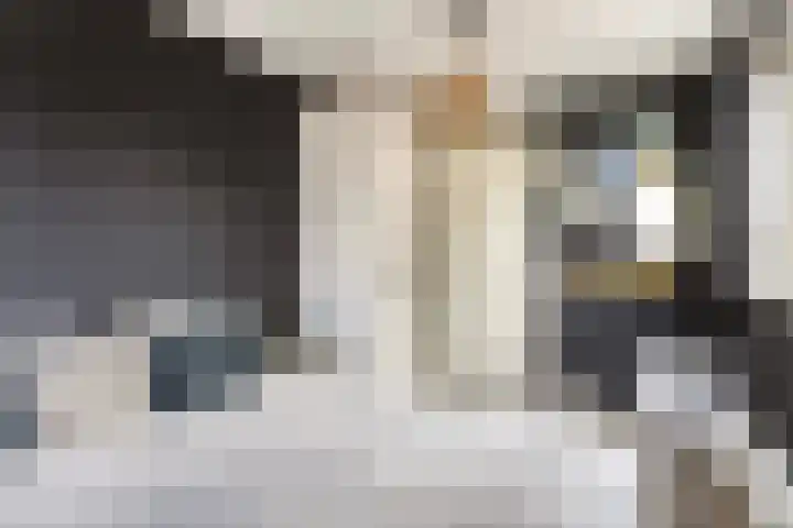 Hoefsmid 33 Wijchen thumbnail 37