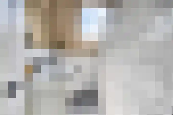 Hoefsmid 33 Wijchen thumbnail 4