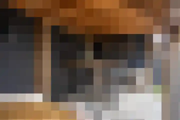 Hoefsmid 33 Wijchen thumbnail 41